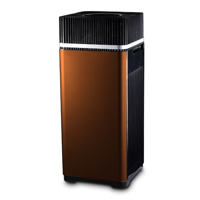 Purificador de baixo nível de ruído do ar de Ion Air Purifier Stay Fresh do aníon amigável profissional de Eco