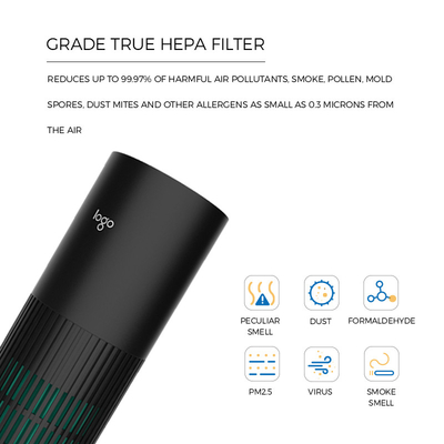 Remove o purificador Ionizer que do ar do carro PM2.5 10 milhão íons negativos matam 99,9% vírus